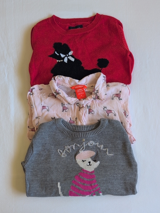 Joe Fresh Other - Joe Fresh The Childrens Place Girls 4T Sweater Blouse Bundle Poodle Frenchie Lot